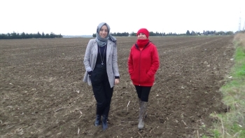 (Özel) Kadın Çiftçiler, Bamya İçin Kolları Sıvadı
