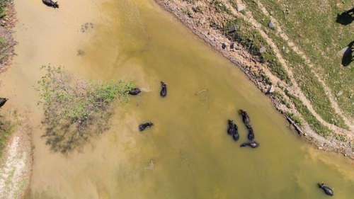 (Özel)Burası Afrika Değil Arnavutköy