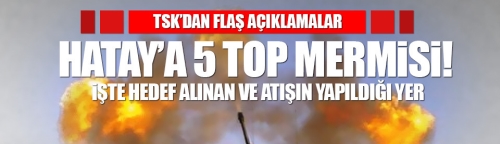 Afrin'den 5 adet top mermisi geldi!
