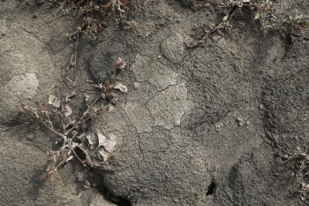 Alibeyköy Barajında Korkutan Görüntü
