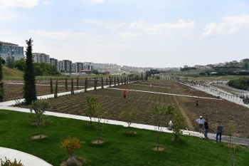 Başkan Çalık: “Beylikdüzü’Nün Her Tarafını Yeniliyoruz”
