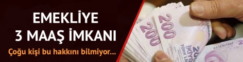 Emeklilerin aldığı maaşı 3'e çıkarma şansı var