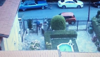 Eşini Isıran Köpeği Vurarak Öldürdü
