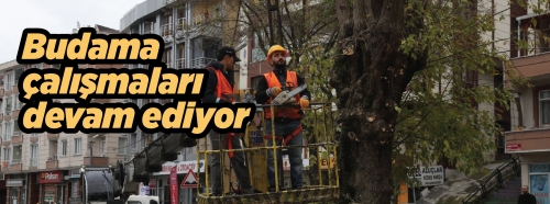 Eyüpsultan Belediyesi Engellileri unutmadı