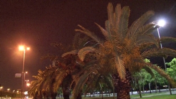 İstanbul’Da Şiddetli Rüzgar Ve Yağmur Etkisini Gösterdi
