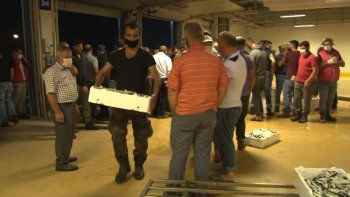 İstanbul Gürpınar Su Ürünleri Hali’Nde Satış Sezonu Başladı
