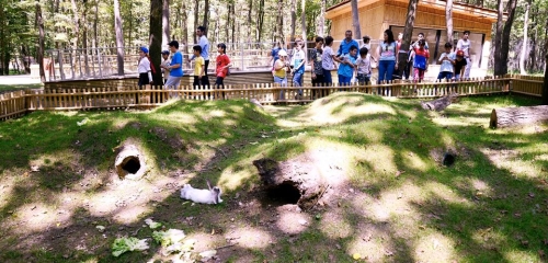 KURBAN BAYRAMI’NDA KORUNAN ALANLARA ZİYARETÇİ AKINI