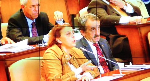 Mimarlar Odasından Neden Görüş Almıyor