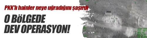 PKK'ya büyük operasyon