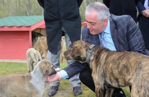 Sokaktaki can dostlarımız için sıcak yuva