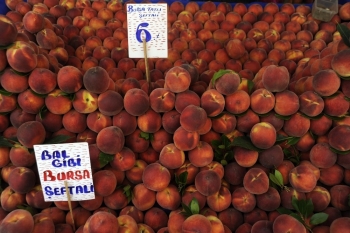 Tarlada 2 Lira Olan Şeftali Şehirde 3 Katına Satılıyor
