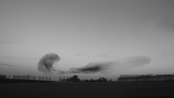 Ünlü Saat Markasının ‘Yeni Başlangıçlar’ Temalı Reklam Filmi Yayında
