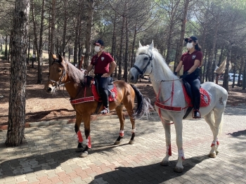 Yağmur Sonrası Aydos Ormanı’Nda Atlı Polislerden Mangal Denetimi
