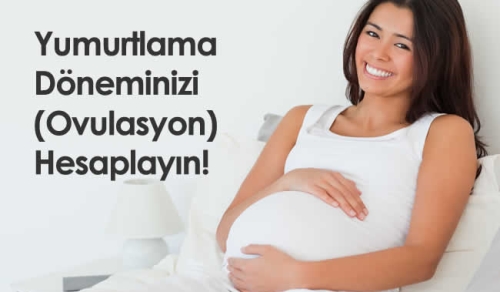 Yumurtlama Dönemi Hesaplama