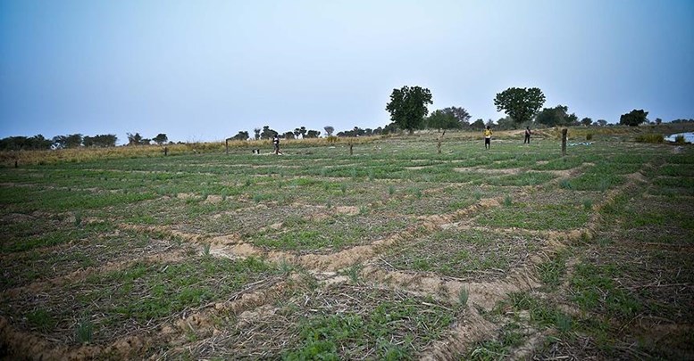 'Afrika, gıda ihtiyacının yüzde 83'ünü ithal ediyor'