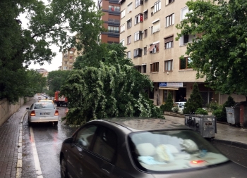 (Özel) Kadıköy’De Fırtına Nedeniyle Ağacın Devrilme Anı Kamerada
