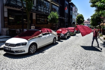 (Özel) Sultanahmet’Te Halı Tarlası
