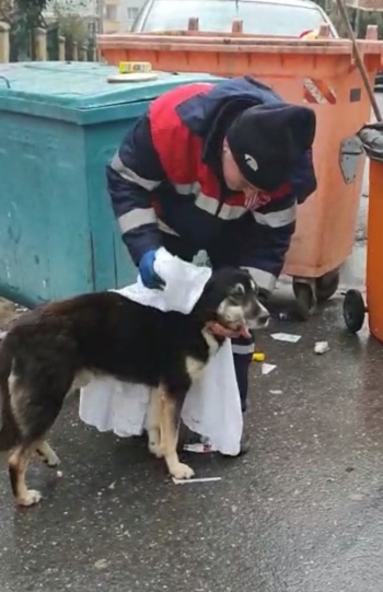 (Özel) Temizlik İşçisi Yağmurdan Islanan Köpeği Kuruladı, İçleri Isıttı
