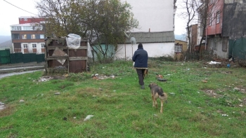 (Özel) Yaşlı Adam Emekli Maaşının Çoğunu Sokak Hayvanları İçin Harcıyor
