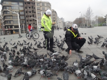 (Özel)Taksim’De Aç Kalan Güvercinleri Trafik Polisleri Besledi
