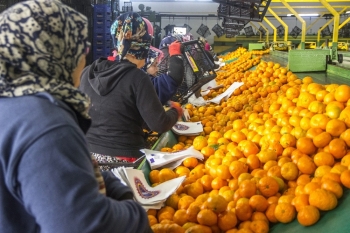 2019’Da Gıda Ve Tarımda Öne Çıkanlar
