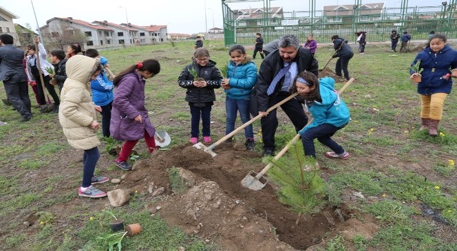 4000  Adet  Çam  İle  Çınar  Fidanları  Toprakla  Buluştu