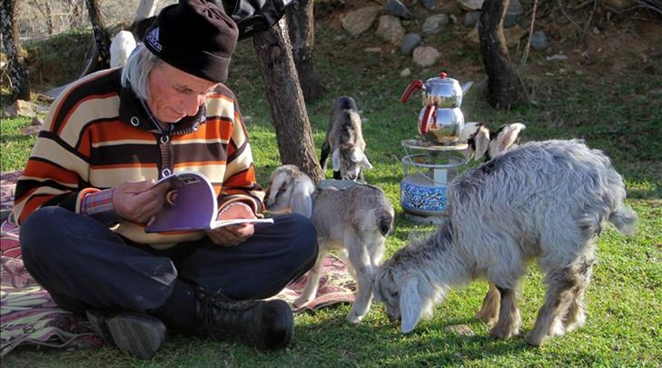 63 yaşındaki 'Üniversiteli çoban'ın okuma azmi