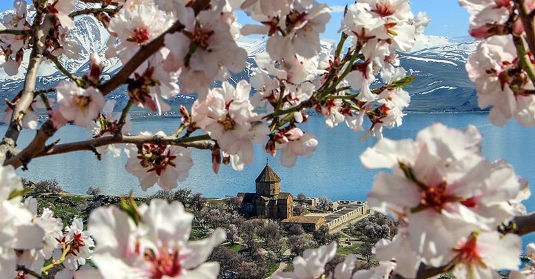 Akdamar Adası çiçeklere büründü