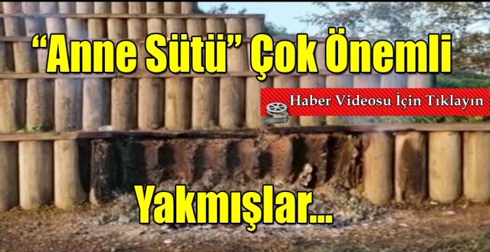 Anne Sütü Çok Önemli