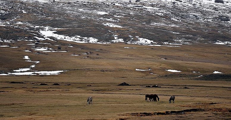 Ardahan'da bazı alanlar 'özel güvenlik bölgesi' ilan edildi