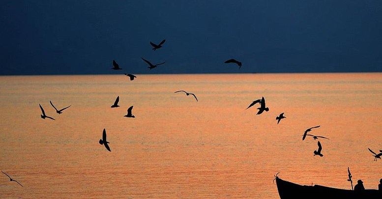 Arjantin Güney Atlantik karasularındaki genişlemeyi açıkladı