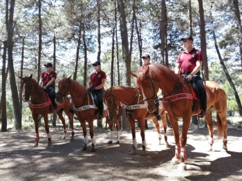 Atlı Polislerden Aydos Ormanı’Nda Mangal Denetimi
