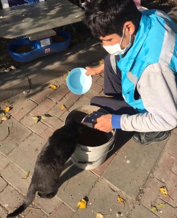 Avcılar’Da Kısıtlamada Sokak Hayvanları Unutulmadı
