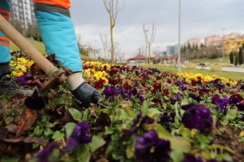 Bahçelerde Kış Bakımı Önerisi
