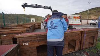 Başakşehir’De Sokak Hayvanları İçin Kış Seferberliği
