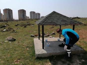 Başakşehir’De Sokak Hayvanları Unutulmadı
