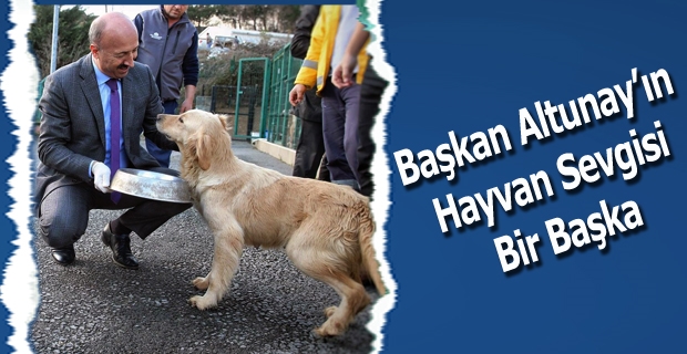 Başkan Altunay’ın  Hayvan Sevgisi  Bir Başka