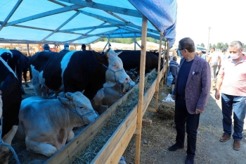 Başkan Deniz Köken, Kurban Satış Alanında İncelemelerde Bulundu
