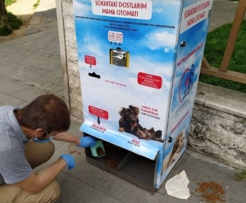 Bayrampaşa’Da Sokak Hayvanları Unutulmuyor
