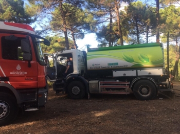 Beykoz’Da Ormanlık Alanda Korkutan Yangın
