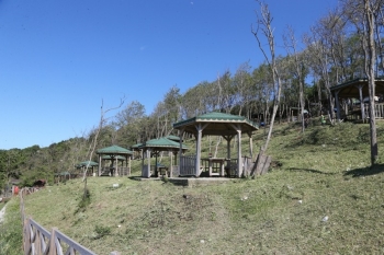 Beykoz’Un İncisi Riva Bu Yaz Çok Güzel Olacak
