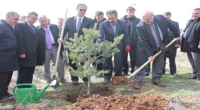 Bingöl'de  Orman  Haftası  Kapsamında  Fidan  Dikimi  Gerçekleştirildi