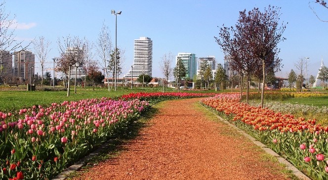 Bursa'da  Lale  Devri