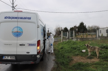 Büyükçekmece’De Sokak Hayvanları Unutulmadı
