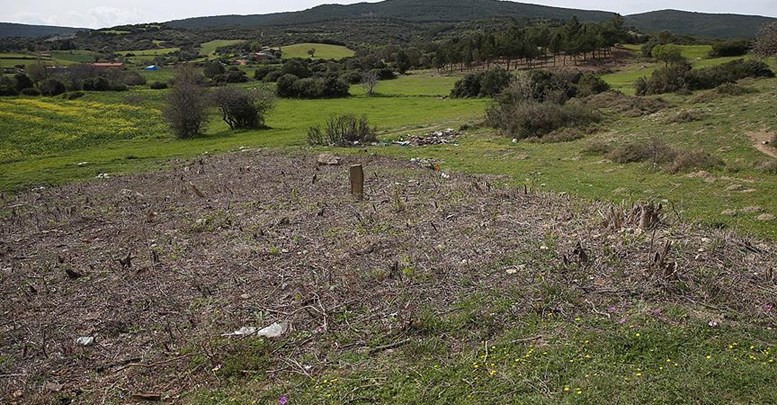 Çanakkale'de yeni 'şehitlik' bulundu