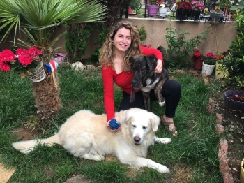 Çengelköy’De Dehşet: Oyuncu Gamze Topuz’Un Köpeklerine Çivili Kemik Attılar
