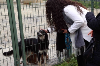 Çocuklardan Küçük Dostlar İçin Anlamlı Etkinlik
