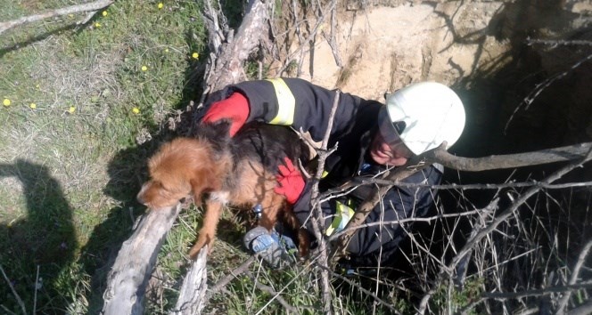 Definecilerin kazdığı kuyuya düşen köpeği itfaiye kurtardı