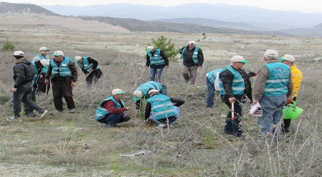 Denetimli  Serbestlik  Müdürlüğü'nden  Hatıra  Ormanı