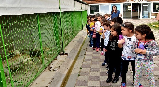 Doğal  Yaşam  Merkezi  Çocuklara  Hayvan  Sevgisi  Aşılıyor